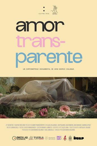 TransParent Love (2026) poster