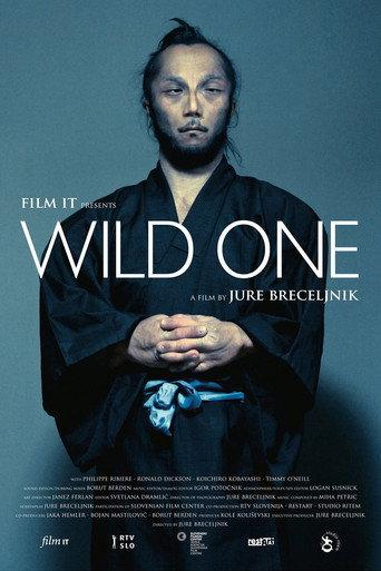 Wild One (2012) poster