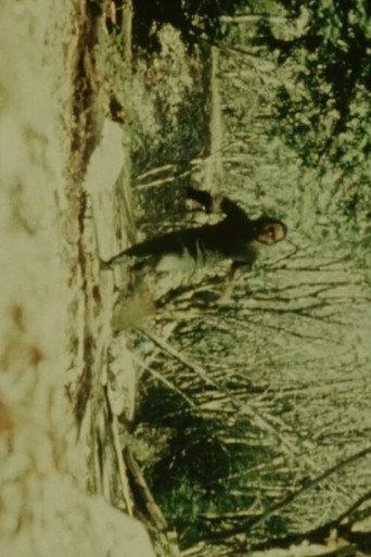 Fall Creek (1970) poster
