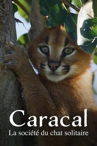 Caracal: The Lone Cat Society (2024) poster