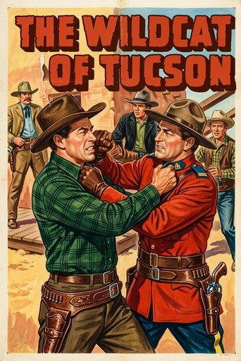 The Wildcat of Tucson (1940) poster