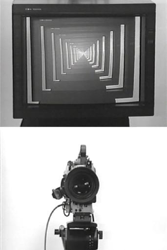 Observer / Observed (1975) poster