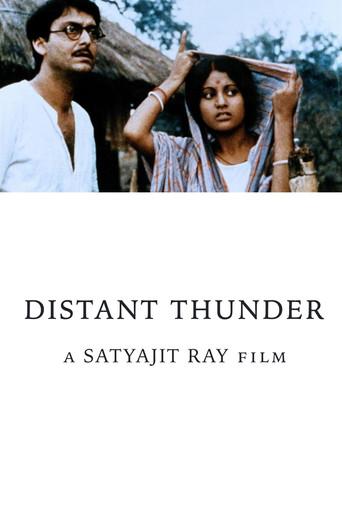 Distant Thunder (1973) poster