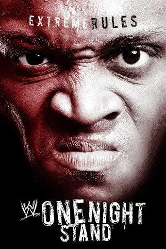 WWE One Night Stand 2007 (2007) poster