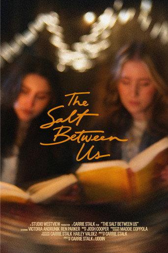 The Salt Between Us () poster