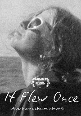It Flew Once () poster