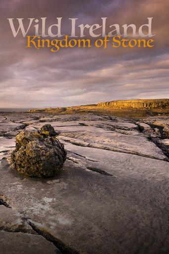 Wild Ireland: Kingdom of Stone (2024) poster