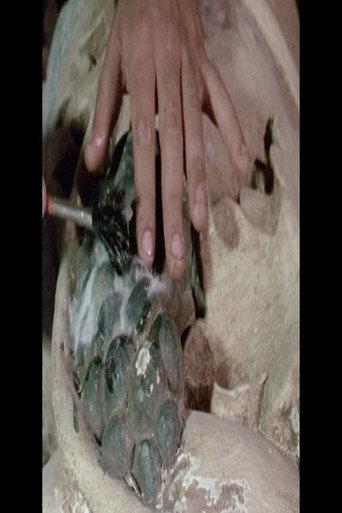 Dos Reis Magos dos Tupiniquins (1985) poster