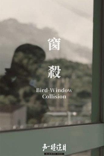 Bird-Window Collisions (2023) poster