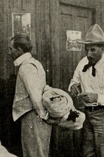 A Montana Mix-Up (1913) poster