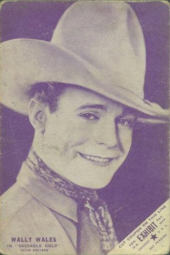 Skedaddle Gold (1927) poster
