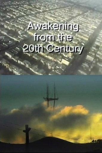 Awakening from the 20th Century (1993) poster