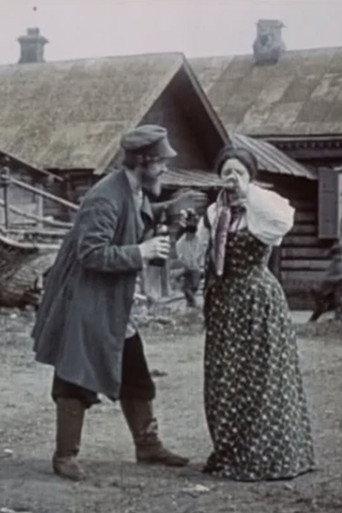 The Dashing Merchant (1909) poster
