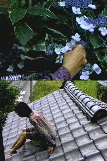 Rain at home (1998) poster