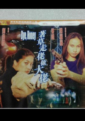 Bye Honey (2000) poster