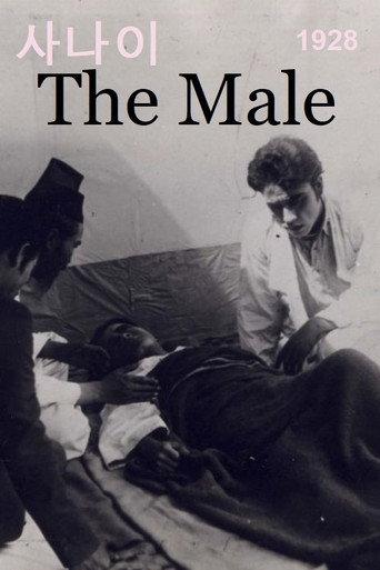 The Male (1928) poster