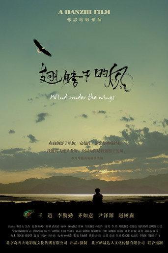 Wind Under The Wings (2010) poster