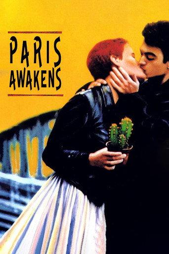 Paris Awakens (1991) poster