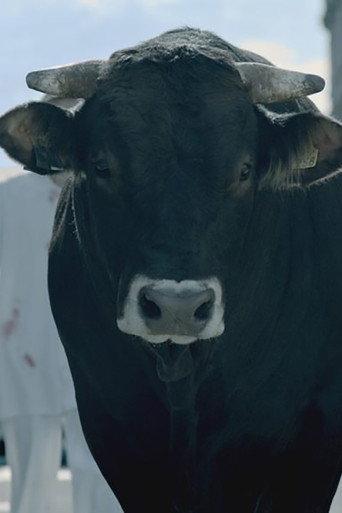 The Bull (2019) poster