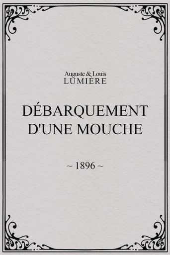 Lyon: Débarquement d'une mouche (1896) poster
