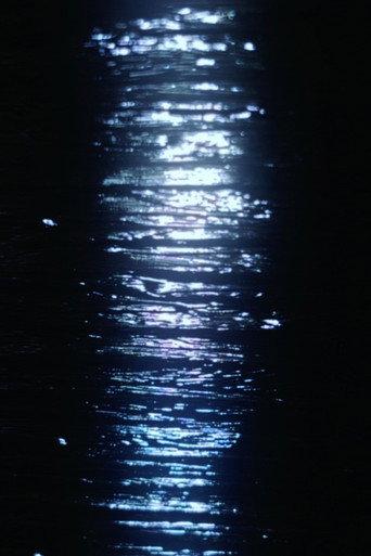 December Lights () poster