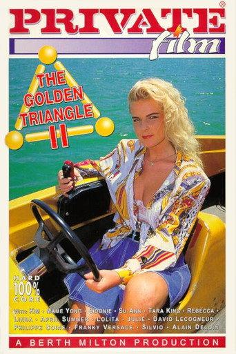 The Golden Triangle 2 (1994) poster