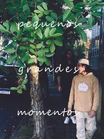 pequenos grandes momentos (2026) poster