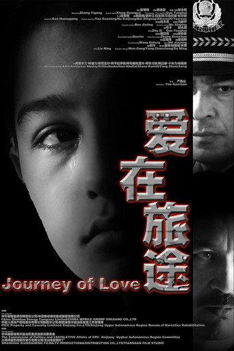 爱在旅途 (2013) poster