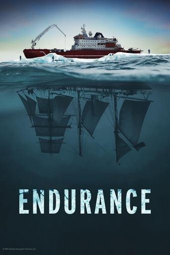 Endurance (2024) poster