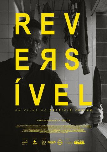 Reversível () poster
