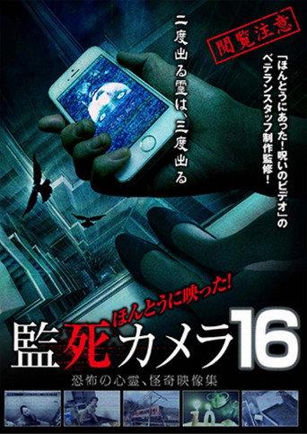Paranormal Surveillance Camera 16 (2016) poster