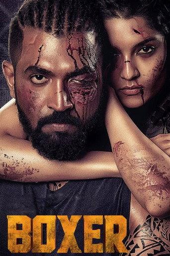 Boxer () poster