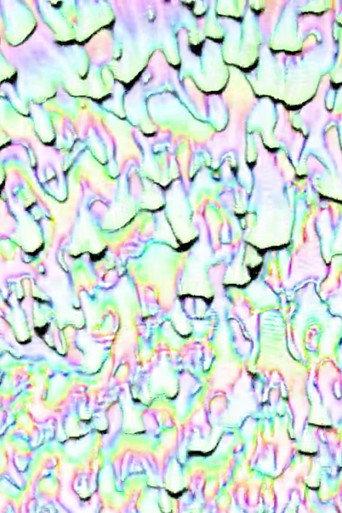 Melting Rainbow Heart (2014) poster