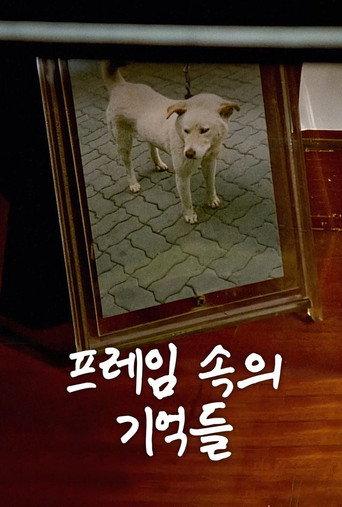 The Memories in My Frame (1994) poster