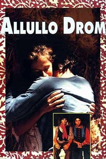 Allullo drom (1992) poster