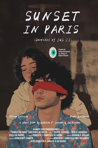 Sunset in Paris (2024) poster