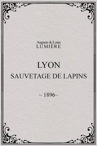 Lyon : sauvetage de lapins (1896) poster