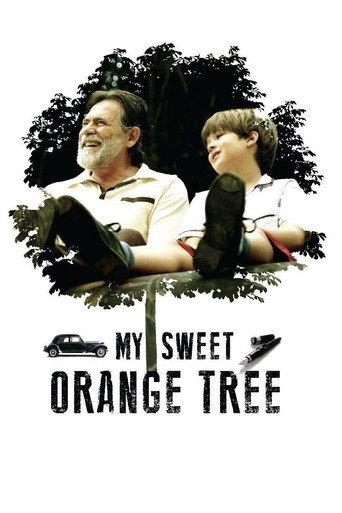 My Sweet Orange Tree (2012) poster
