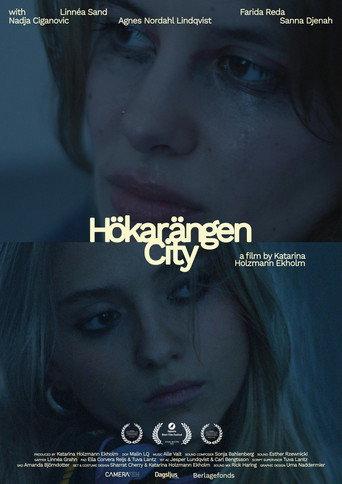 Hökarängen City (2025) poster