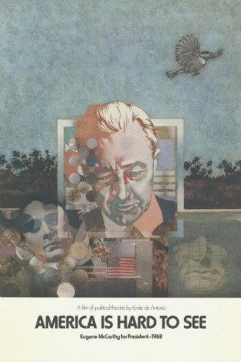 America Is Hard to See (1970) poster