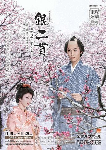 Two Pieces of Silver: The Plum-Branch Hair Pin (2015) poster