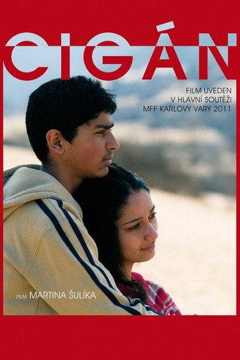 Gypsy (2011) poster