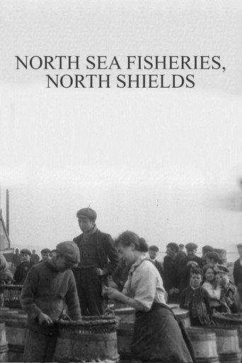 North Sea Fisheries, North Shields (1901) poster