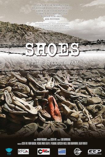 Shoes (2013) poster