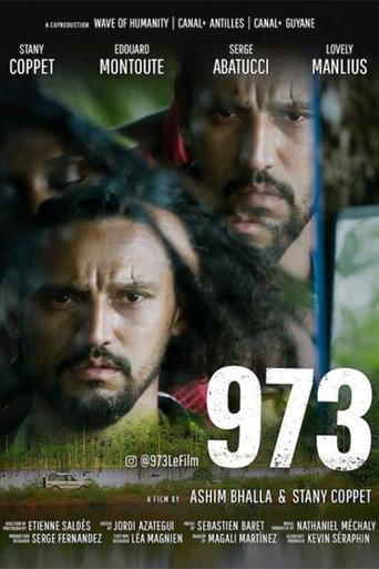 973 (2022) poster