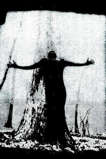 IIsandra In Ruin (2025) poster