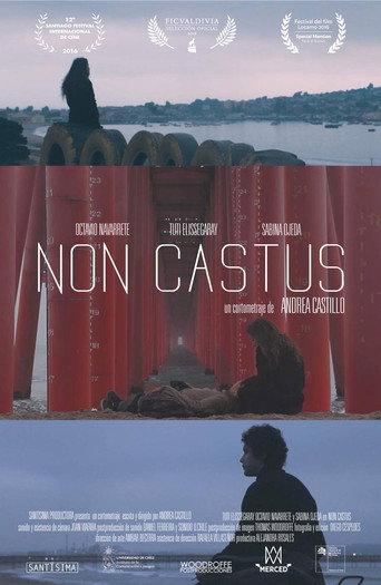 Non Castus (2016) poster