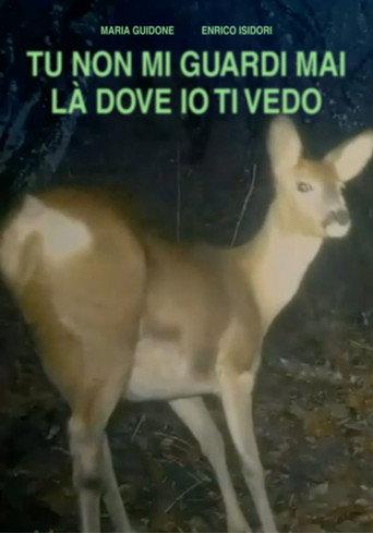 TU NON GUARDI MAI LÀ DOVE IO TI VEDO (2025) poster
