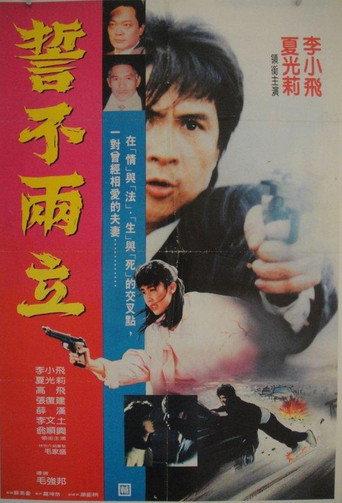 Duel of Death (1989) poster