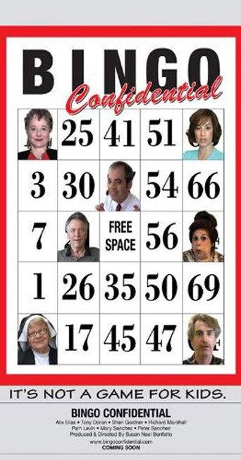 Bingo Confidential (2009) poster